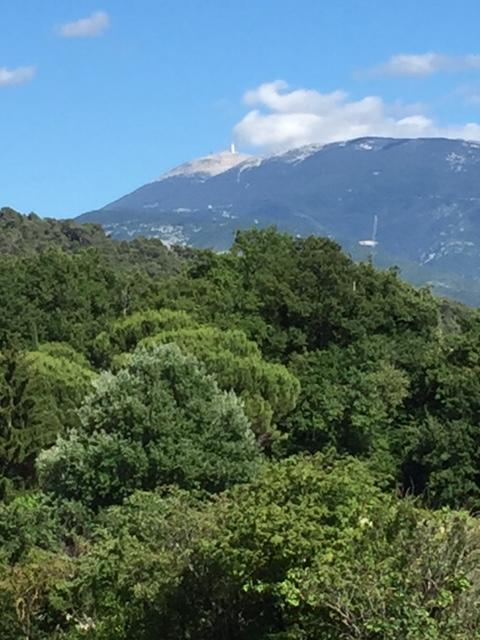 Villa Les Granges Vaison Saint-Marcellin-lès-Vaison 外观 照片